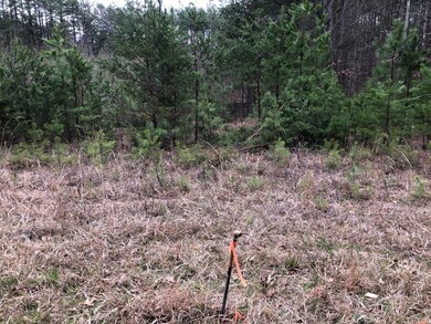 Lots 4-5 Oral Oaks Rd, South Hill, VA 23970 - photo 5