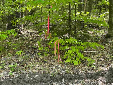 0 Fernwood Farms Rd unit 4985321, Canaan, NH 03741 - photo 6