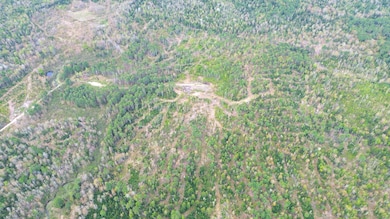 DJI_0124