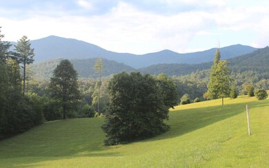 Additional View