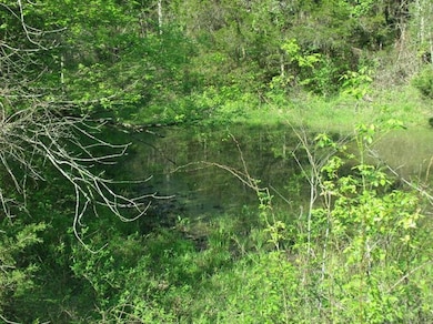 2 Hoophole Rd, Lawrenceburg, KY 40342 - photo 6