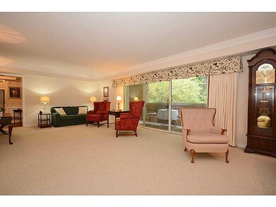Living Room. Views through large patio doors.