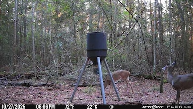 1685 Margaret, Kirbyville, TX 75956 - photo 6