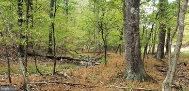 0 Route unit WVMO2001156, Berkeley Springs, WV 25411 - photo 7