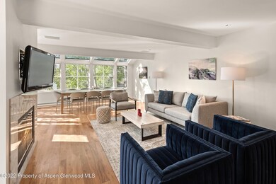 100 N 8th St unit 23, Aspen, CO 81611 - photo 6