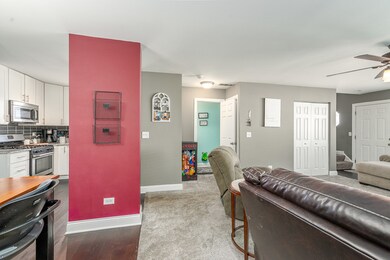 1921 Tawny Ct, Joliet, IL 60435 - photo 7