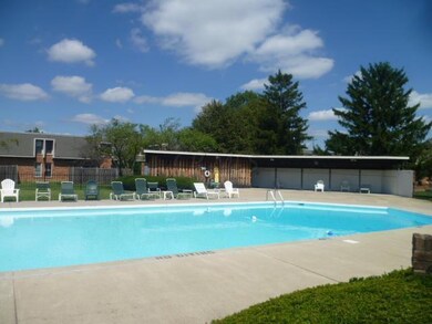 1579 Lafayette Pool
