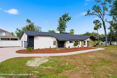 916 River Rapids Ave, Brandon, FL 33511 - photo 4