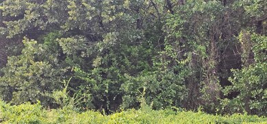 0 E Moonshine 1000 Rd unit 2526568, Gore, OK 74435 - photo 5