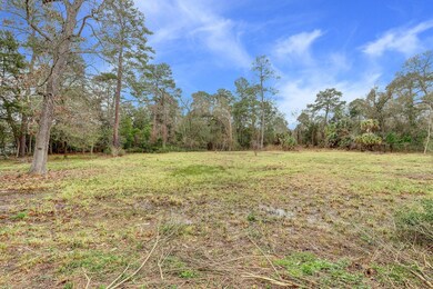 35 E Rivercrest Dr, Houston, TX 77042 - photo 4