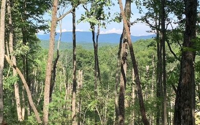 Additional View