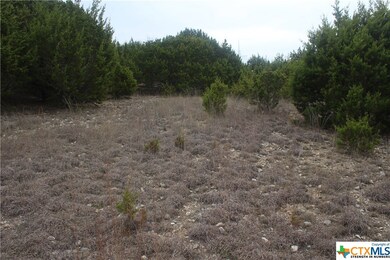 000000 Pecan Cove, Copperas Cove, TX 76522 - photo 4