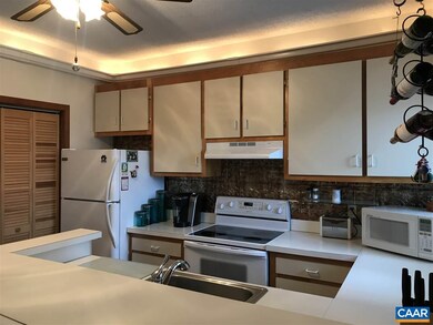 449 3 Ridges, Wintergreen Resort, VA 22967 - photo 6