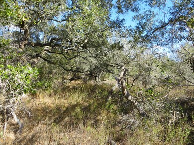 1078 Indian Cir, Altair, TX 77442 - photo 7