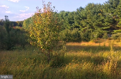 2250 Engle Rd, Fallston, MD 21047 - photo 3