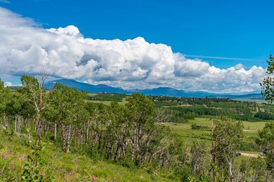 0 Breakneck Pass Ct unit S1027527, Fairplay, CO 80440 - photo 7