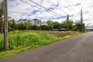0 Leimamo St, Hilo, HI 96720 - photo 6