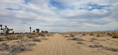 0 Avenue L4 23rd St E unit 25008152, Palmdale, CA 93550 - photo 4