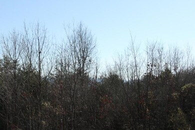 IMG_7498
