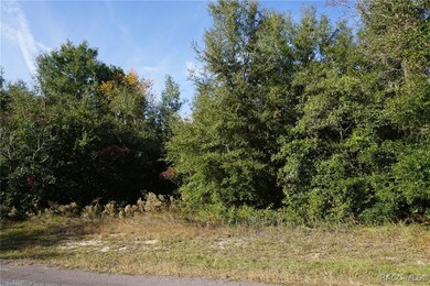 1399 E Ridgefield Dr, Hernando, FL 34442 - photo 4