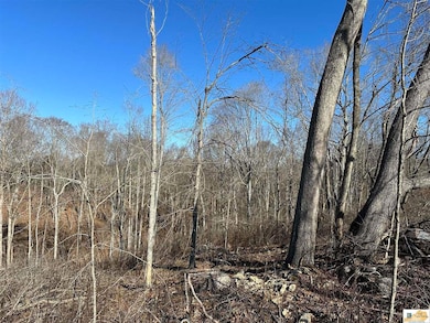 501 Brockman Rd, Columbia, KY 42728 - photo 5