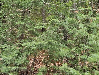 20251111_122538_result