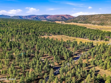 25319 US Hwy 191, Alpine, AZ 85920 - photo 3