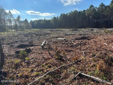 0 Crepe Myrtle unit 100543967, Wilson, NC 27896 - photo 4