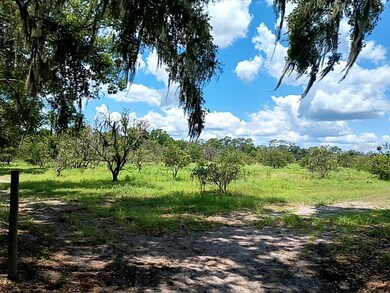 0 No St unit MFRV4943422, de Leon Springs, FL 32130 - photo 5