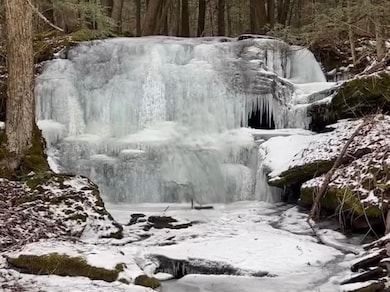 0 Bragg Hollow Rd, Middletown, NY 12438 - photo 3