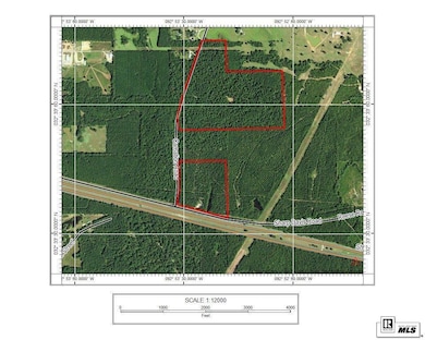 000 Carnation Rd unit est 66, Arcadia, LA 71001 - photo 2