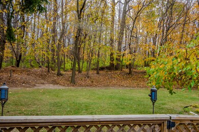 4571 Wil O Paw Drive-backyard