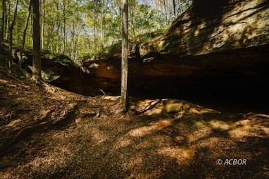 0000 Little Kyger Rd, Cheshire, OH 45620 - photo 6