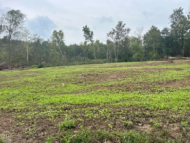 86 Palestine Rd, Warm Springs, AR 72478 - photo 7