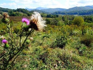 606 Mckinney Rd unit B, Burnsville, NC 28714 - photo 7