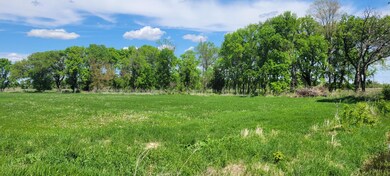 XXX 455th Ave, Arlington, MN 55307 - photo 5