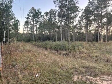 lot view 3