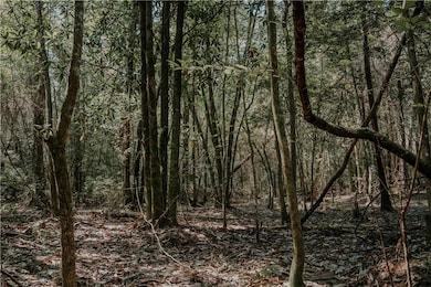 0 Hwy 1083 (Ben Williams Rd ) Hwy, Covington, LA 70435 - photo 3