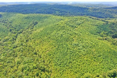 0 Mayberry Prong Rd unit 2182866, Linden, TN 37096 - photo 3