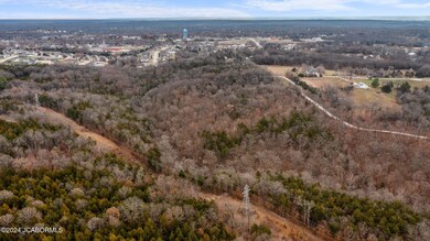 DJI_0739
