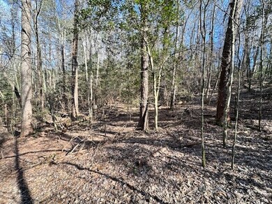 LT 3764R Eagle Mountain Dr, Ellijay, GA 30540 - photo 6