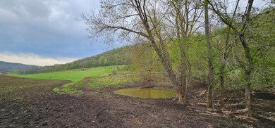 tbd Cty13, Pleasant Hill Township, MN 55943 - photo 7