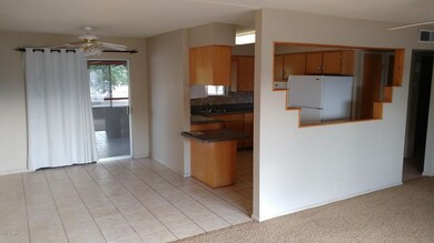 Kitchen and dining