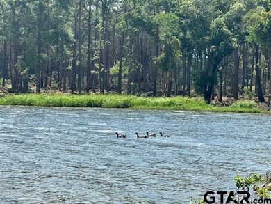 Lot 111 Oak River, Frankston, TX 75763 - photo 5