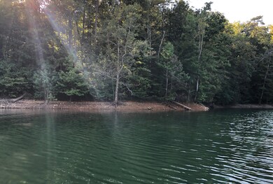 121 Cove Pt, Lakefront, Norris Lake