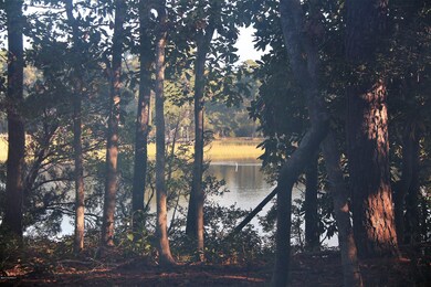 IMG_8787 (2)