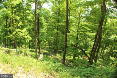 81.53 AC Dolly Sods-Forest Service Rd 19, Cabins, WV 26855 - photo 6