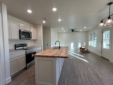 211 E Cardinal St, Ector, TX 75439 - photo 4