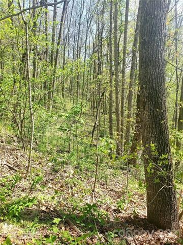 Sloping property waiting for your home above Maggie Valley CC