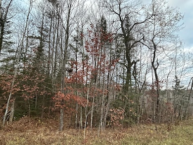 18 Acres Cth G, Pelican Lake, WI 54463 - photo 3